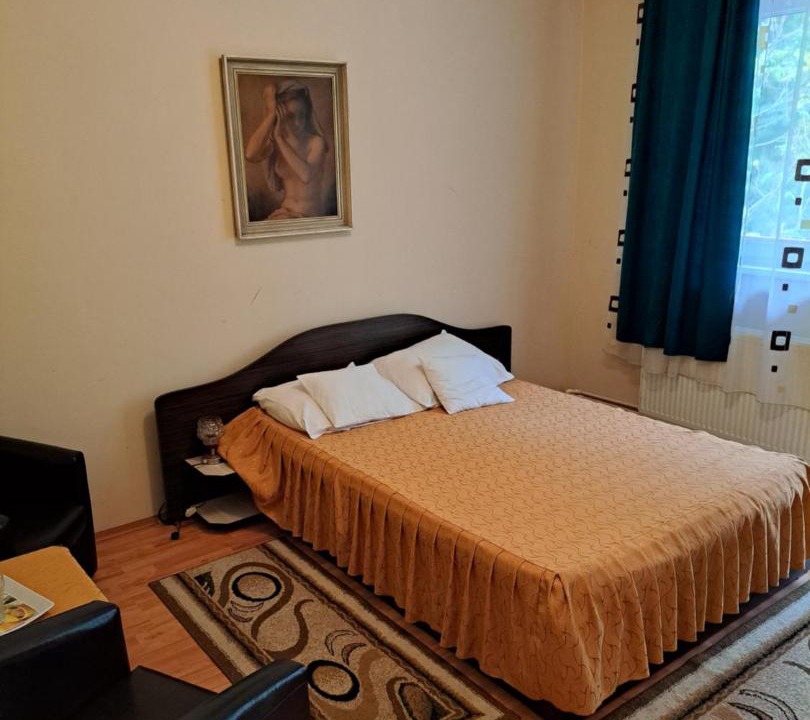 Photo of Bedroom in Baile Herculane