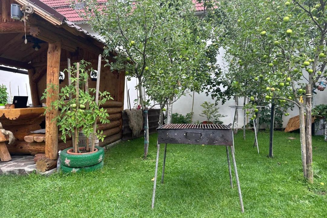 Photo of Others in Zarnesti