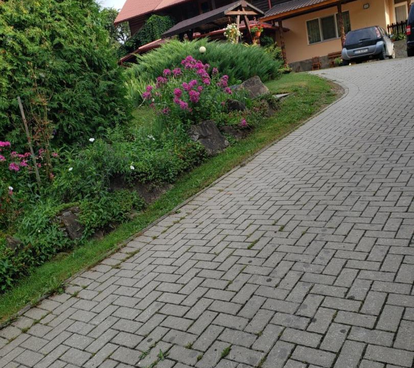Photo of Others in Sucevita