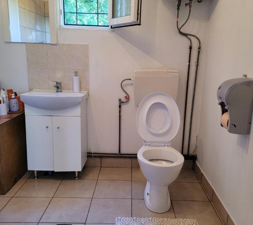 Photo of Bathroom in Socodor