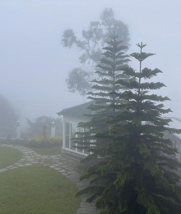 Photo of Others in Kodaikanal