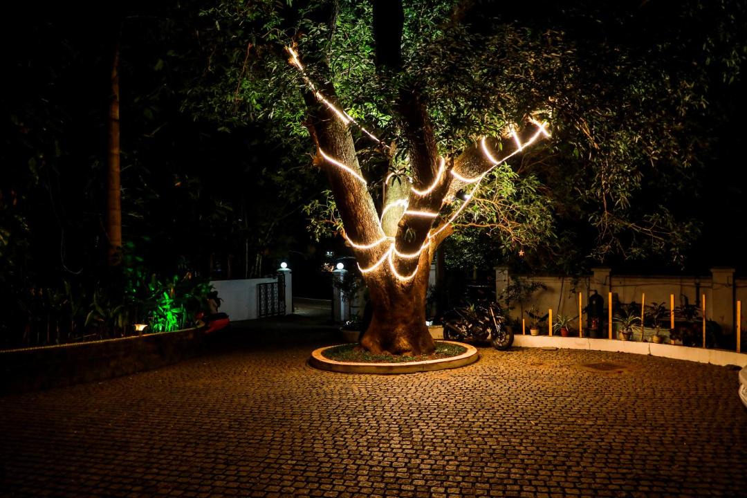 Photo of Others in Fort Kochi