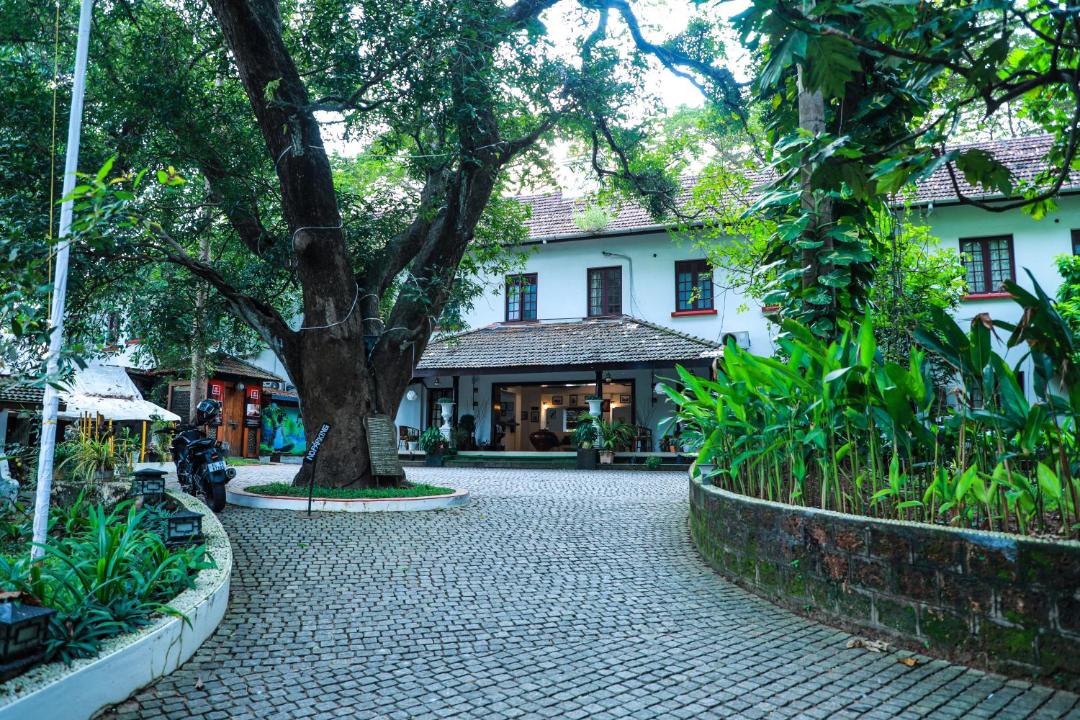 Photo of Others in Fort Kochi