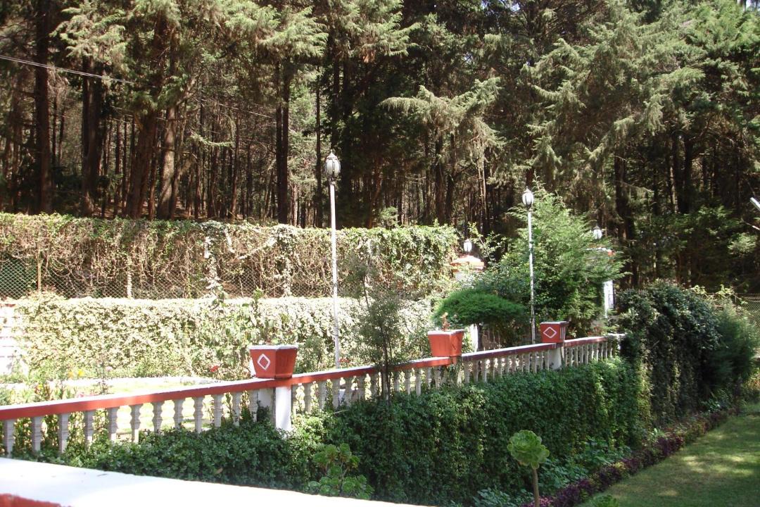 Photo of Others in Fern Hill