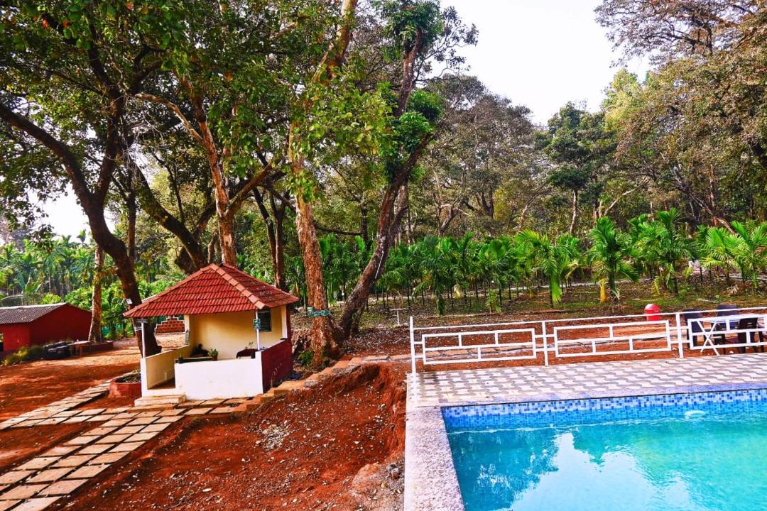 Photo of Others in Dandeli