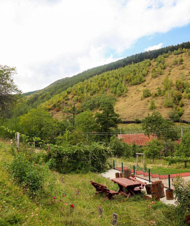 Photo of Others in Orlat