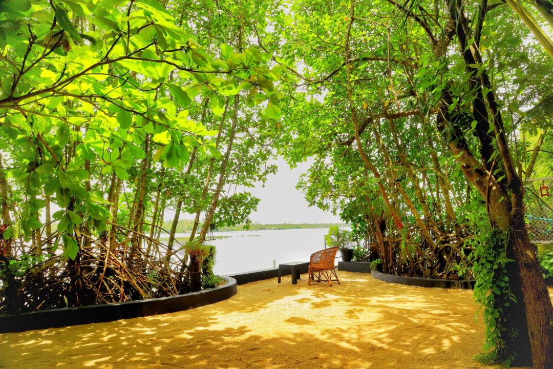 Photo of Others in Kuzhuppilly
