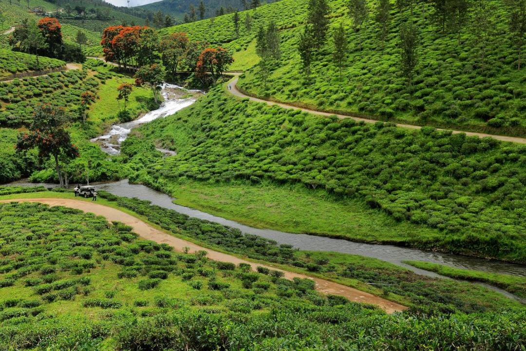 Photo of Others in Thekkady