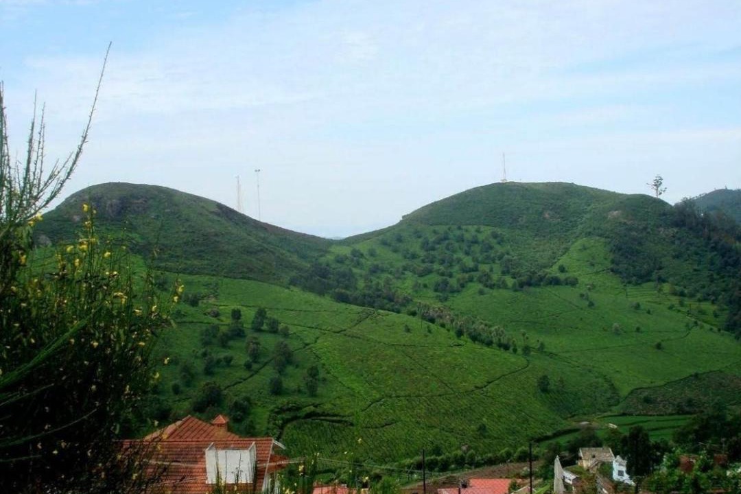 Photo of Others in Ooty