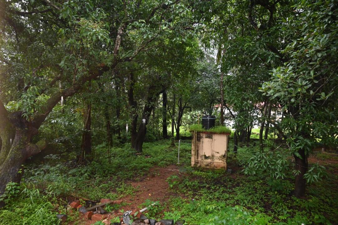 Photo of Others in Sawantwadi