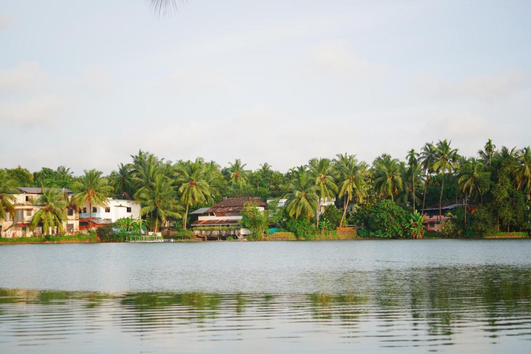 Photo of Others in Kozhikode