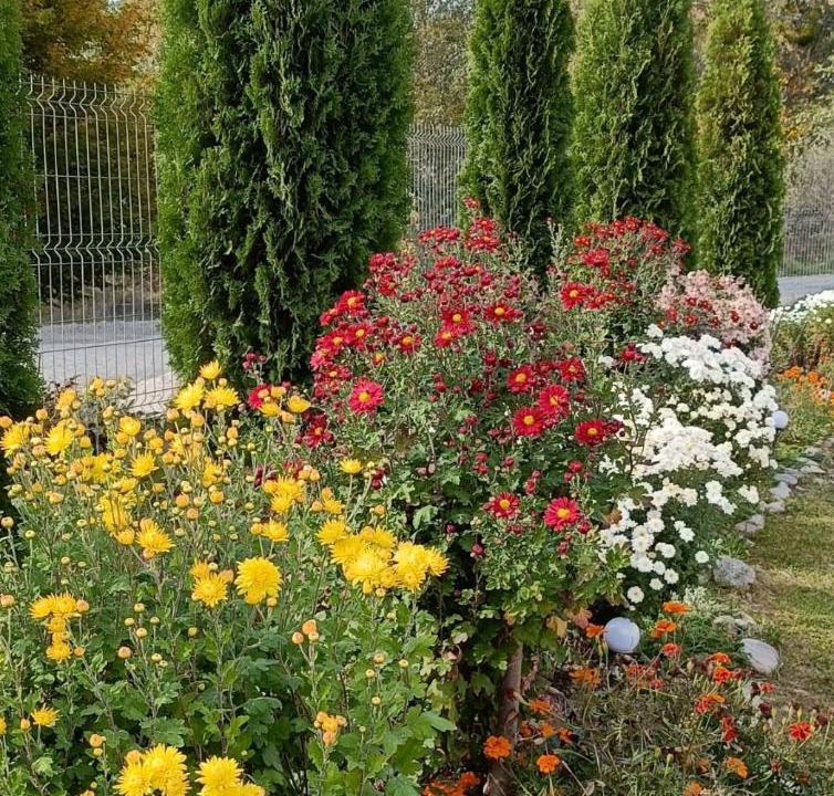 Photo of Outdoor in Porumbacu de Jos