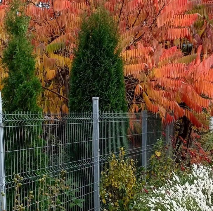 Photo of Outdoor in Porumbacu de Jos