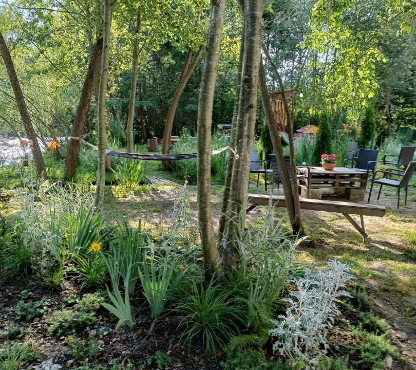 Photo of Outdoor in Porumbacu de Jos