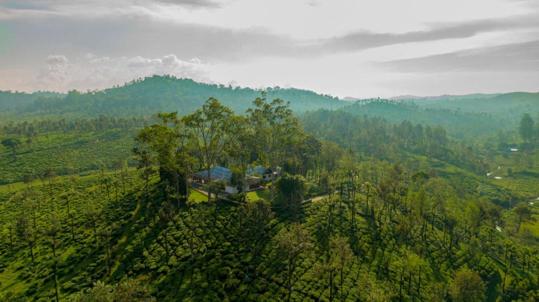 Photo of Others in Valparai