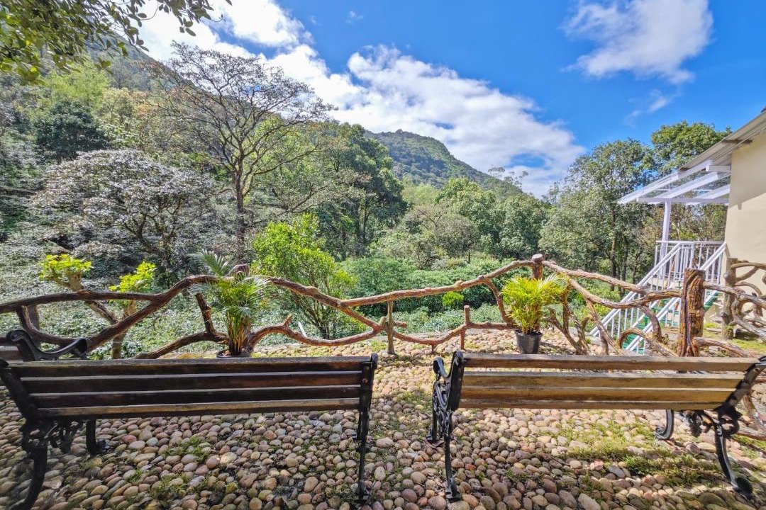 Photo of Others in Valparai