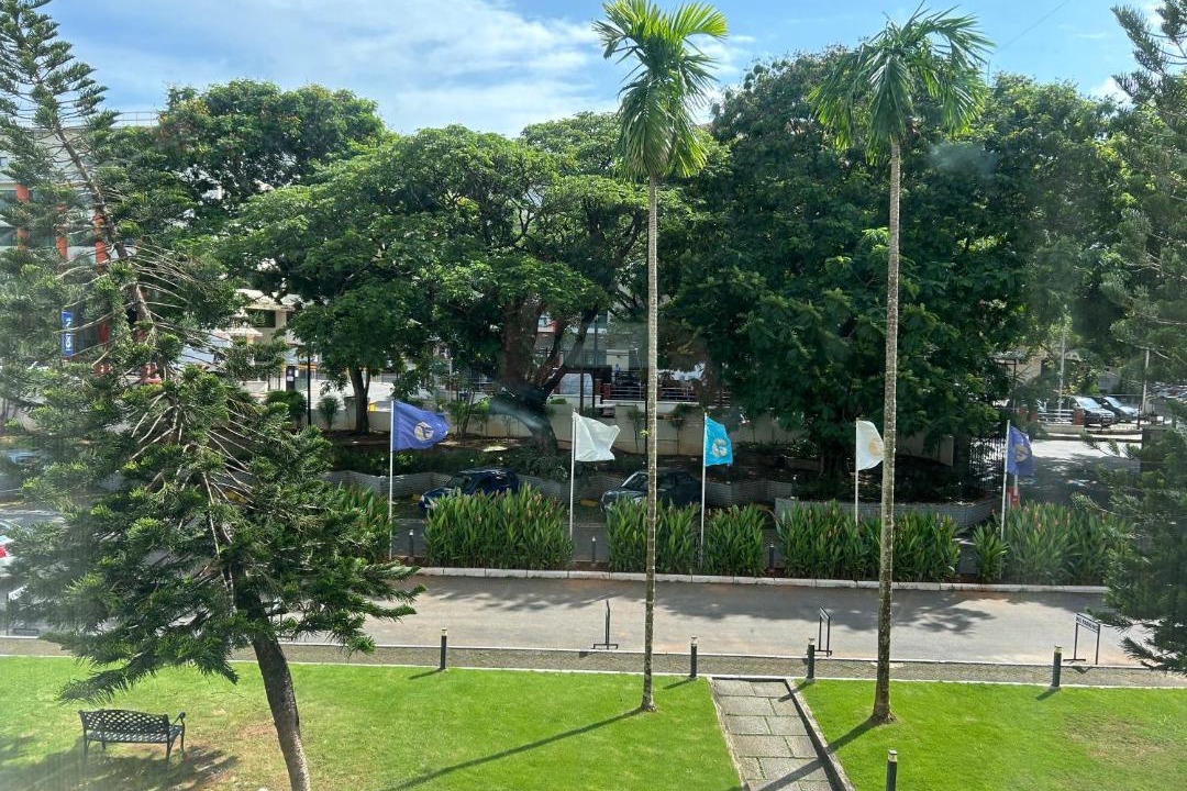 Photo of Others in Manipal