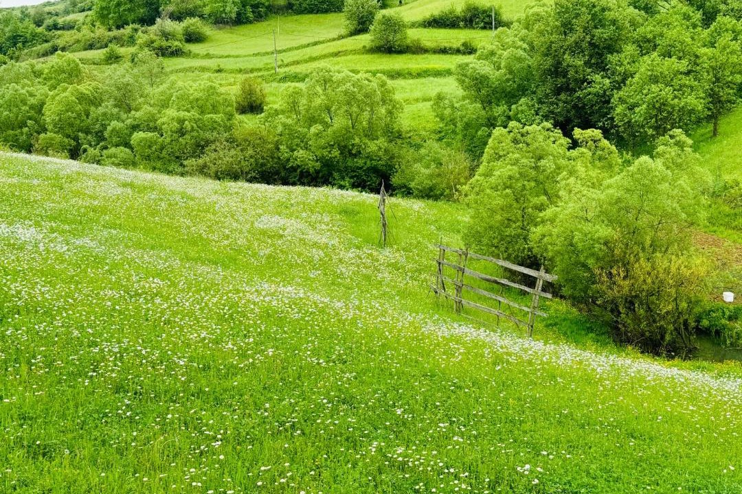 Photo of Others in Bogdan Voda