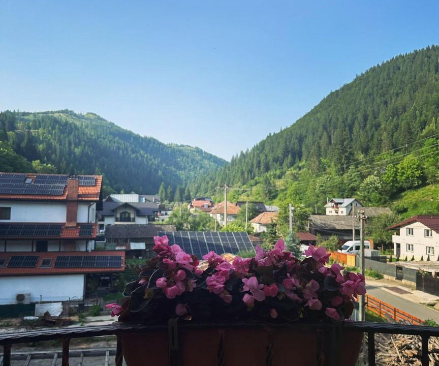 Photo of Others in Voineasa