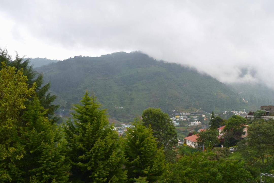 Photo of Others in Kodaikanal