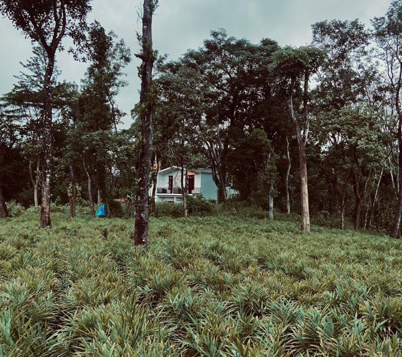Photo of Others in Somvarpet
