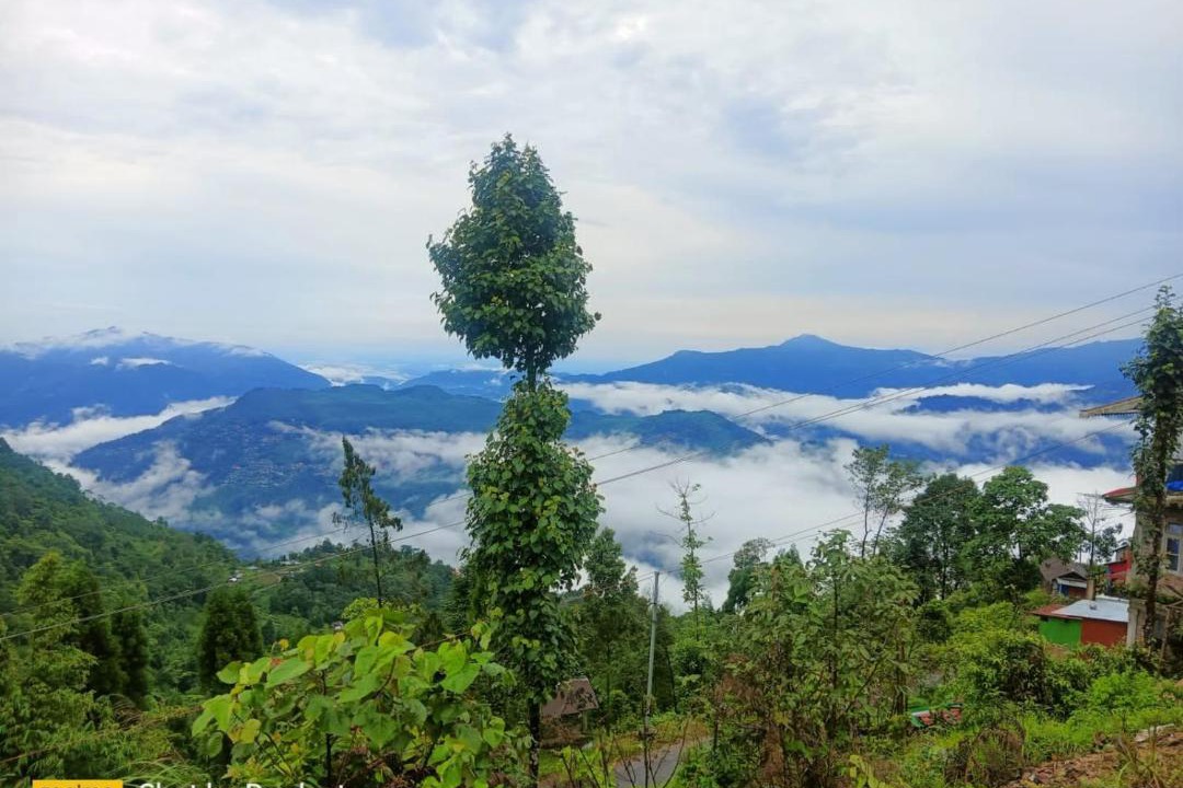Photo of Others in Dhanaulti