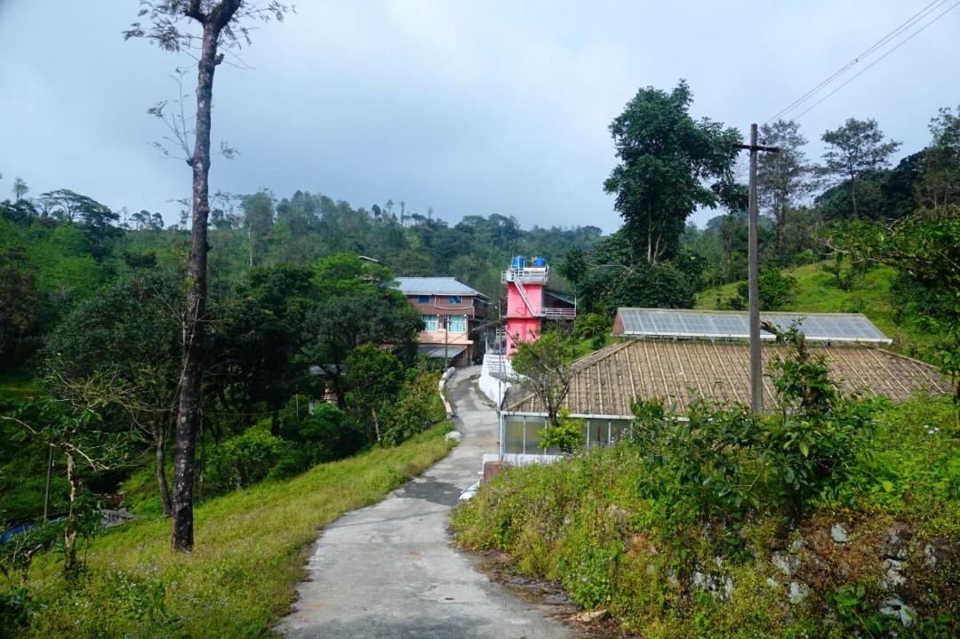 Photo of Others in Valparai