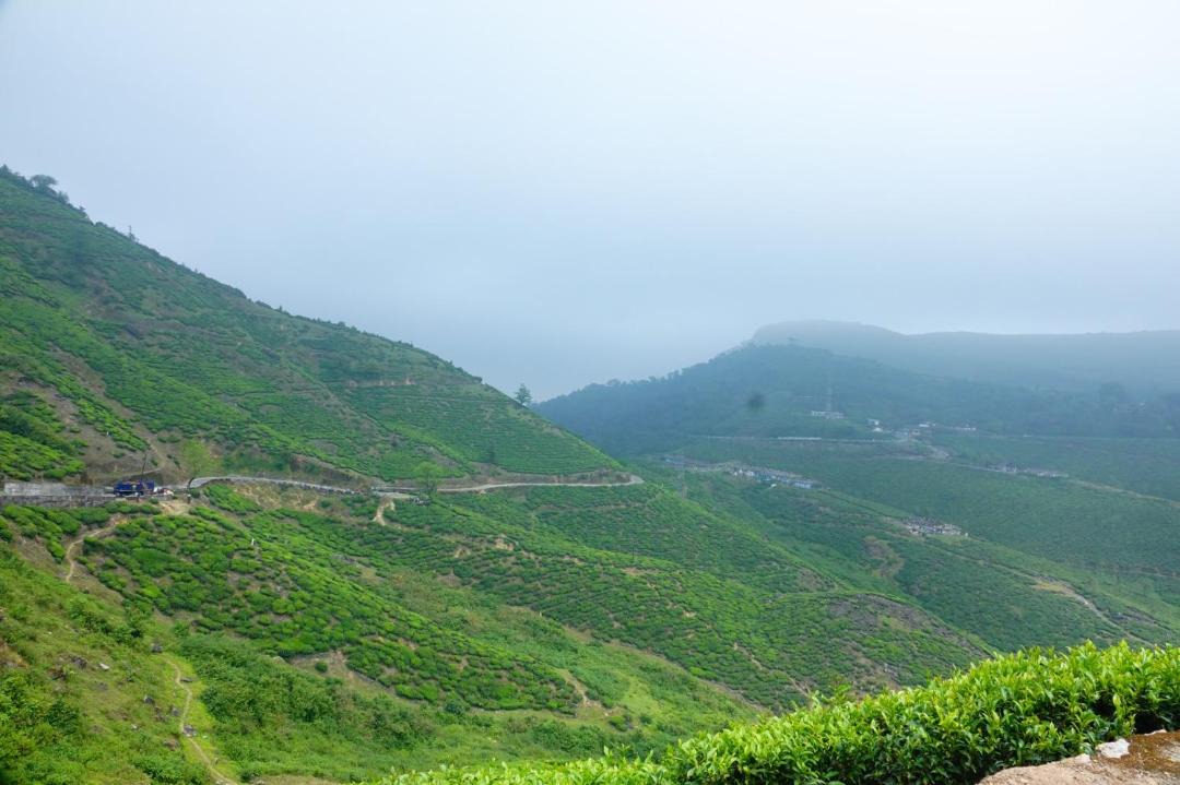 Photo of Others in Valparai