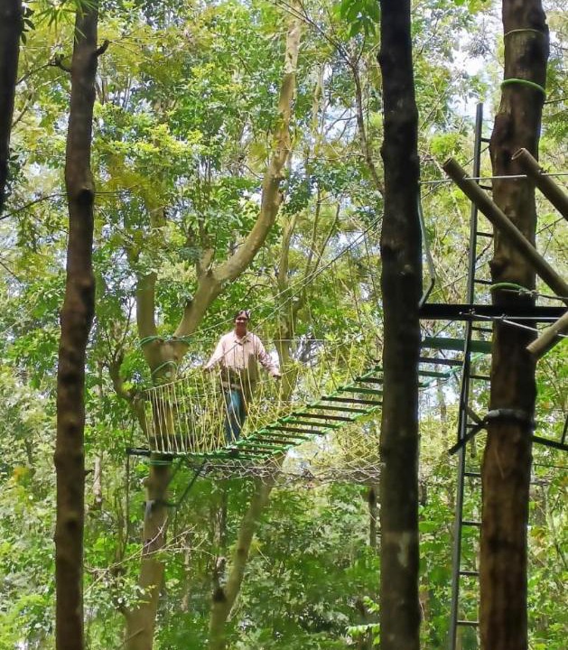Photo of Others in Sulthan Bathery