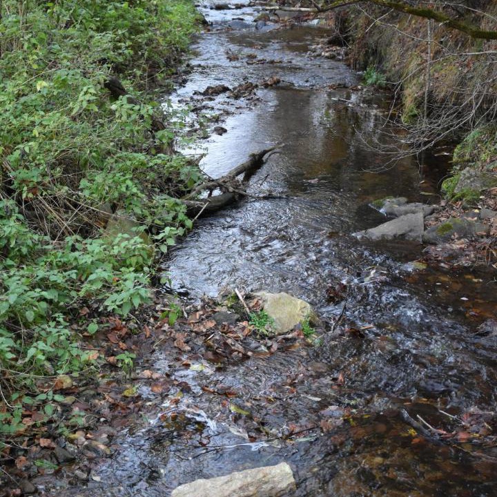 Photo of Others in Risca