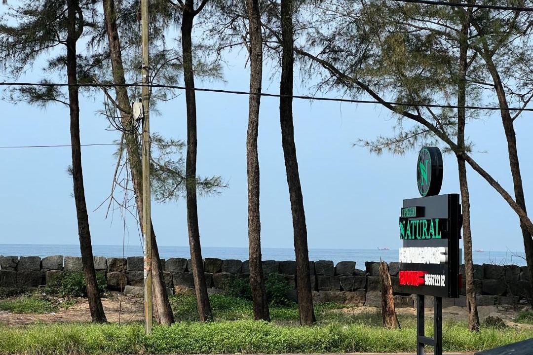 Photo of Others in Kuzhuppilly