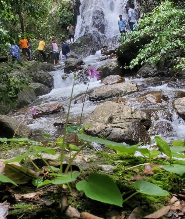 Photo of Others in Bhagamandala