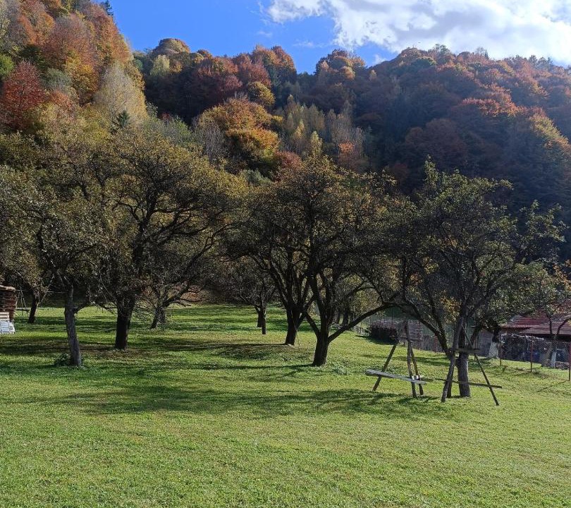 Photo of Others in Moieciu de Jos