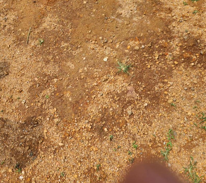 Photo of Others in Kondapur