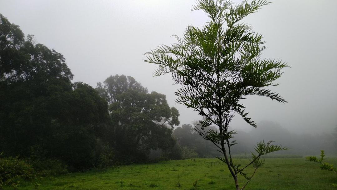 Photo of Others in Somvarpet