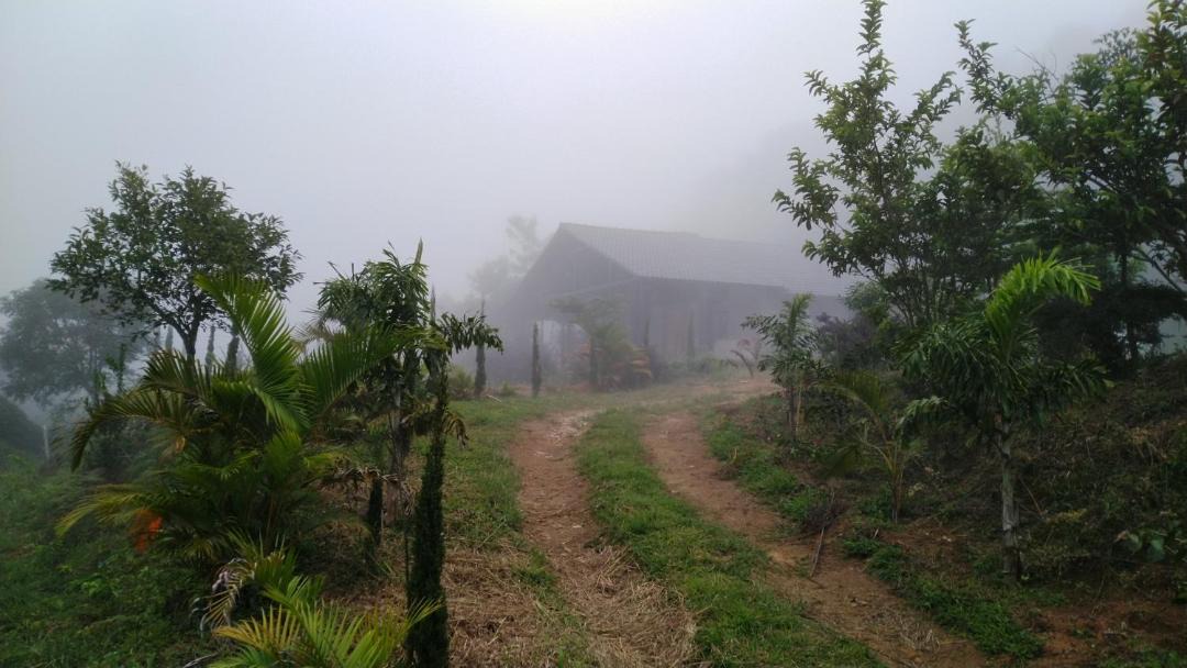 Photo of Others in Somvarpet
