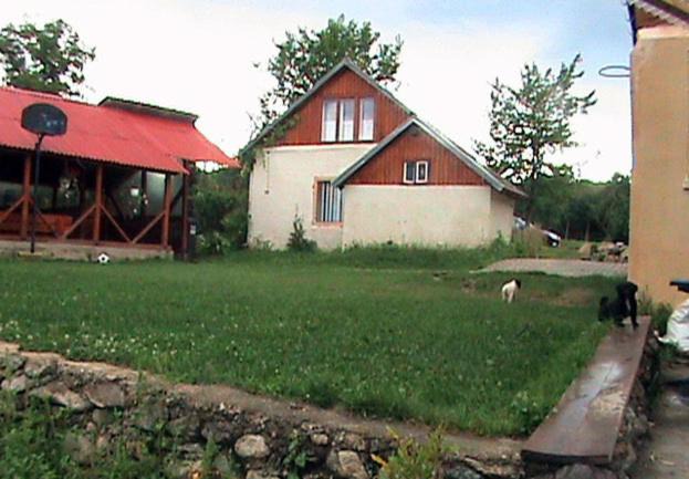Photo of Others in Sarmizegetusa