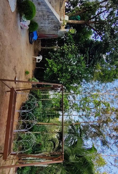 Photo of Others in Mahadevpet