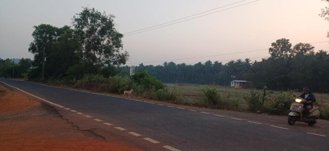 Photo of Others in Aronda