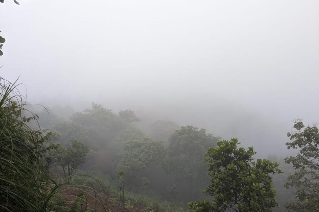 Photo of Others in Mannarkkad