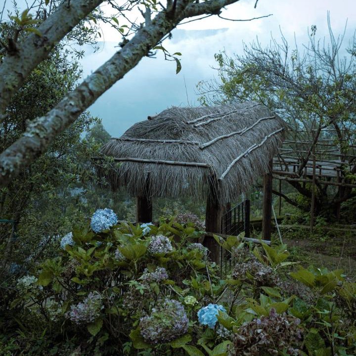 Photo of Others in Vattavada
