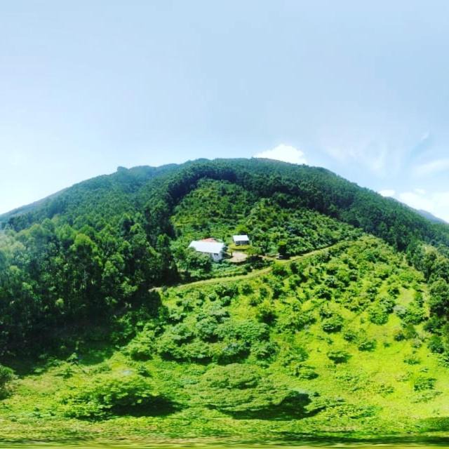Photo of Others in Vattavada