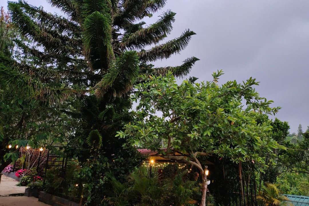 Photo of Others in Kotagiri