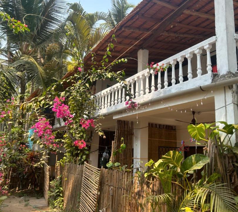 Photo of Others in Palolem