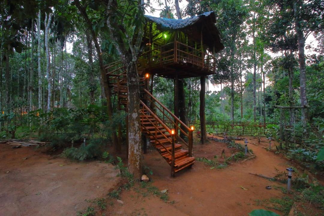 Photo of Others in Kidanganad