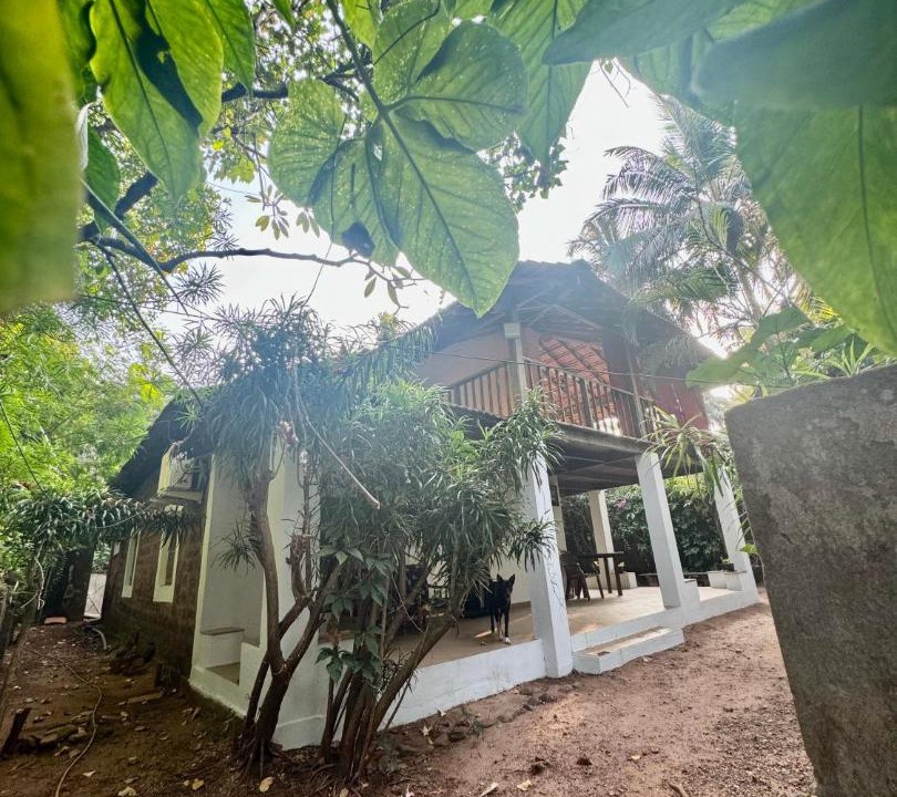 Photo of Others in Anjuna