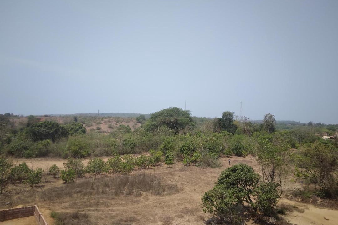 Photo of Others in Arambol