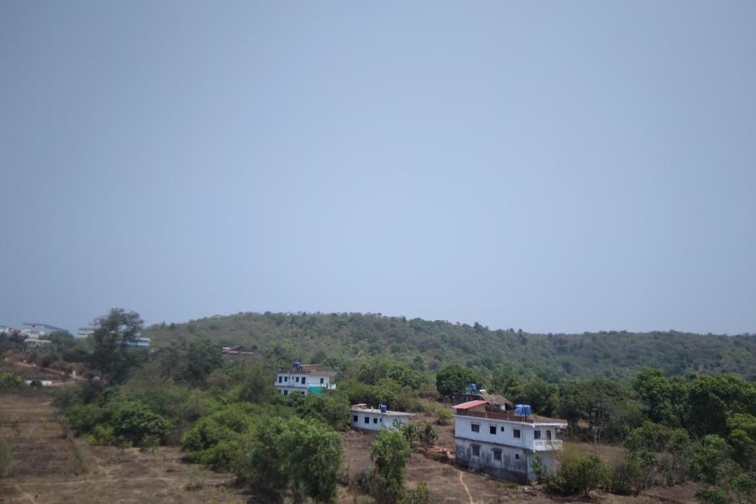 Photo of Others in Arambol