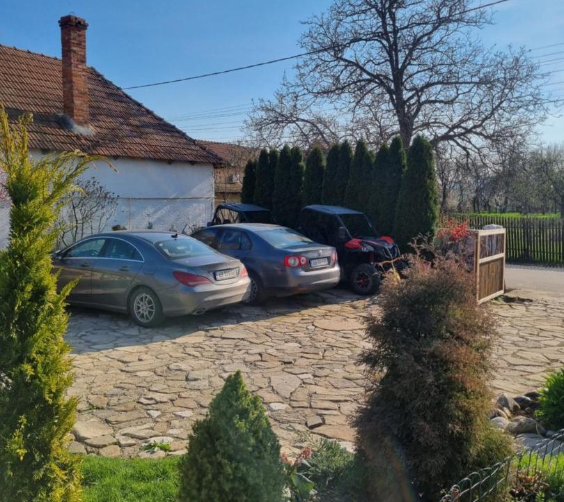 Photo of Others in Mesentea