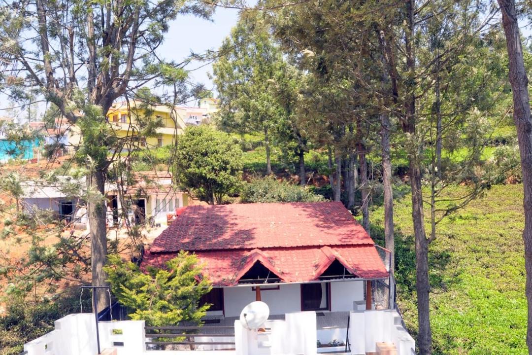 Photo of Others in Kotagiri